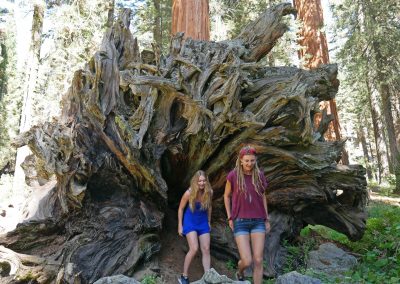 Sisters in front of roots of fallen Sequoia tree on Big Trees Trail