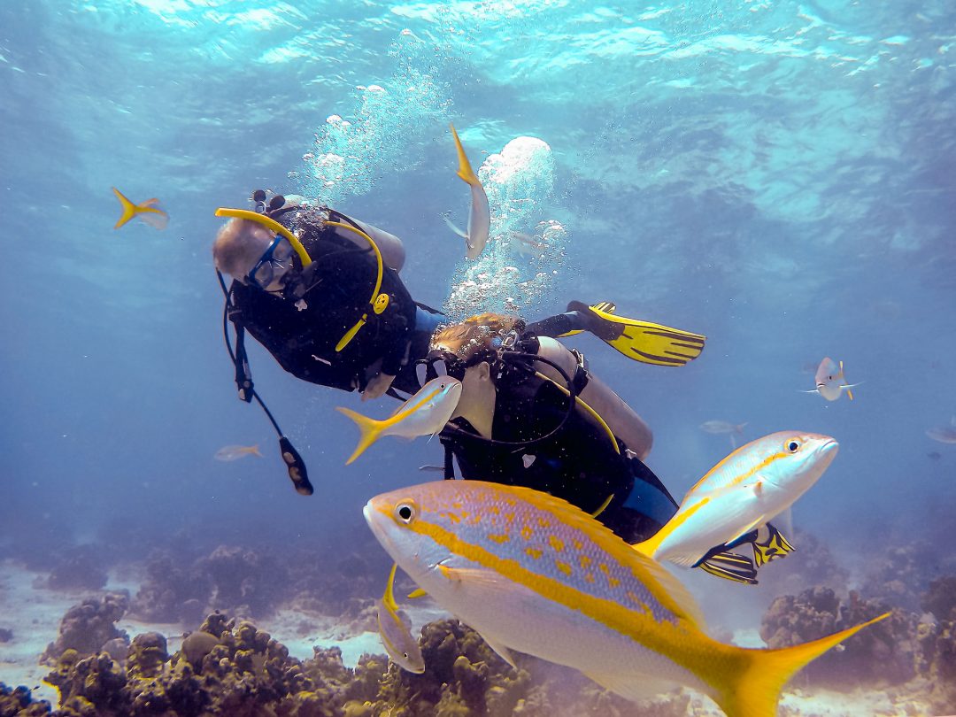 Scuba Diving in Cuba ᛫ March 2018 Peace Love Travel